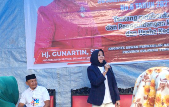 Sosialisasi Perda UMKM Berlanjut di Kelurahan Kemaraya, Hj. Gunartin Ajak Perempuan Mandiri