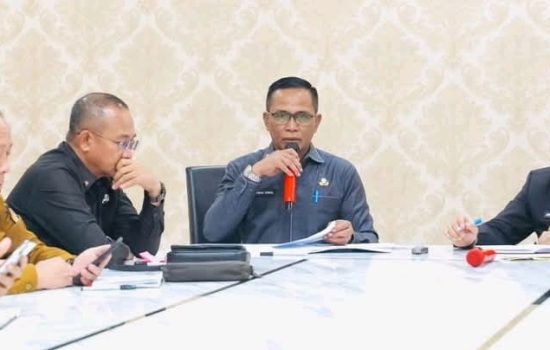Kendari Bergerak, Tanam Cabai Serentak Lawan Inflasi