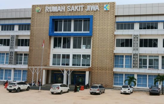 Peluncuran Aplikasi “Durawater Care” RSJ Sultra: Penanganan “TERKASIH”