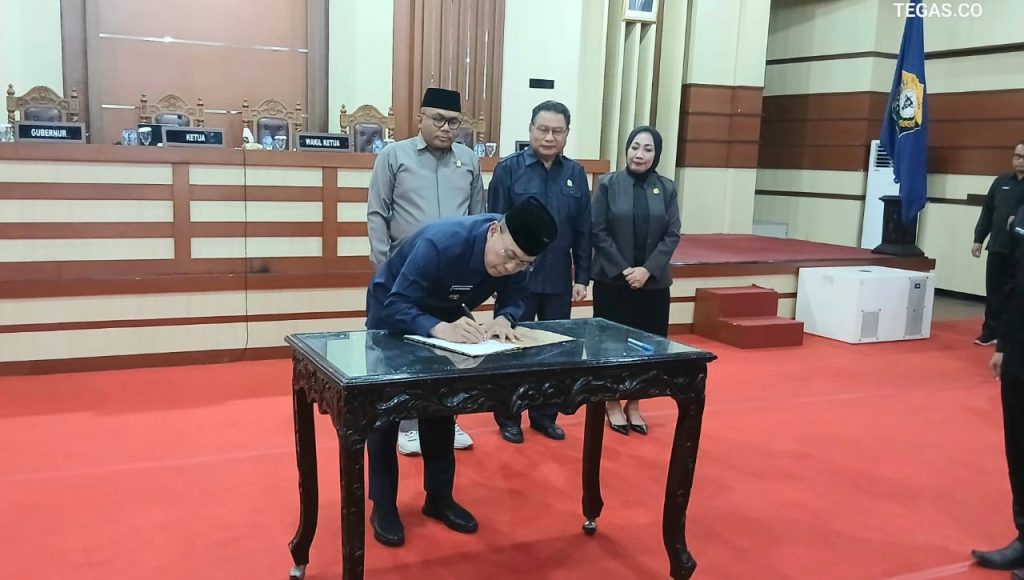Membongkar RPJMD Sultra 2025-2029 di Balik Pesta Demokrasi Formal
