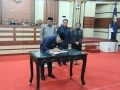 Membongkar RPJMD Sultra 2025-2029 di Balik Pesta Demokrasi Formal