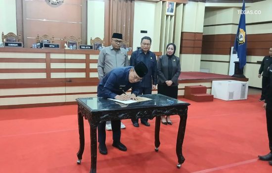 Membongkar RPJMD Sultra 2025-2029 di Balik Pesta Demokrasi Formal