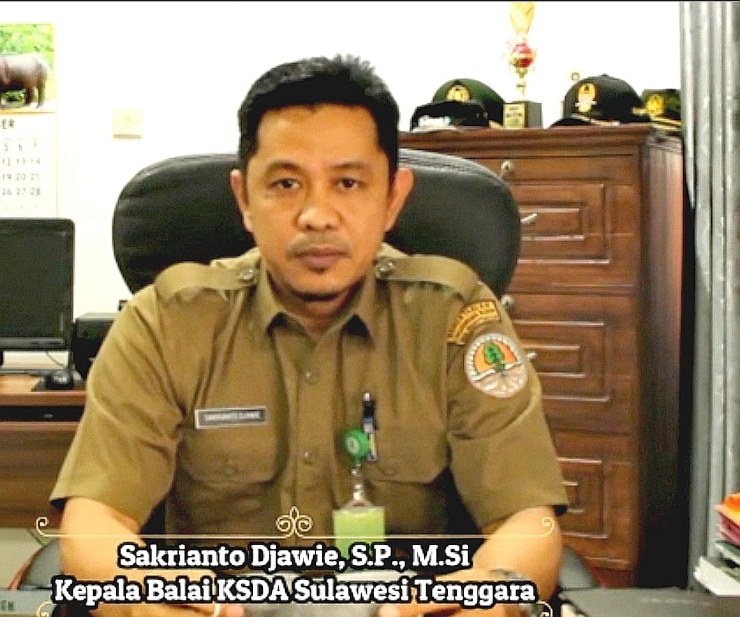 Menganyam Asa, Menjaga Bahtera: BKSDA Sultra Tata Alur Kapal Tongkang di Teluk Lasolo