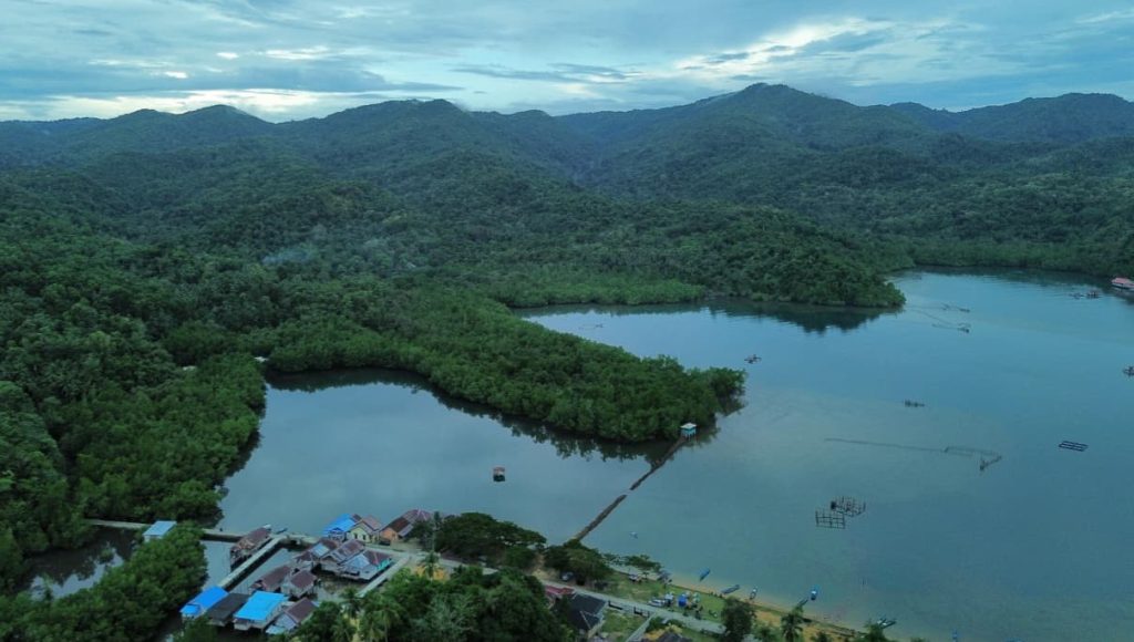Pembangunan Jetty Storage Tank Ancam Kerusakan Mangrove di Konawe