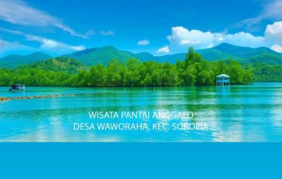Pembangunan Jetty Storage Tank Ancam Kerusakan Mangrove di Konawe