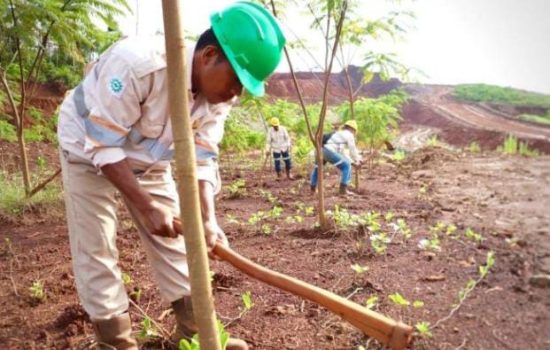 PT GKP Ajak Semua Pihak Terlibat dalam Rehabilitas Lingkungan yang Transparan
