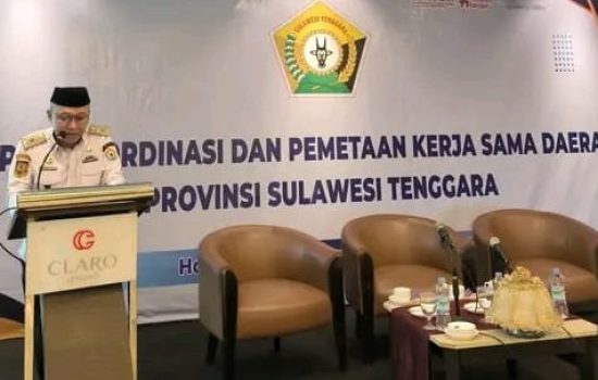 Sekda Sultra Tekankan Empat Fokus Pemetaan Kerja Sama Daerah