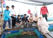 PT Antam Kolaborasi Dengan USN Tingkatkan Kapasitas dan Ekonomi Nelayan Hakatutobu 
