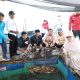 PT Antam Kolaborasi Dengan USN Tingkatkan Kapasitas dan Ekonomi Nelayan Hakatutobu&nbsp;