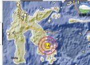 Aktivitas Sesar Kendari Central Picu Dua Kali Gempa Guncang Konawe Selatan dan Kendari