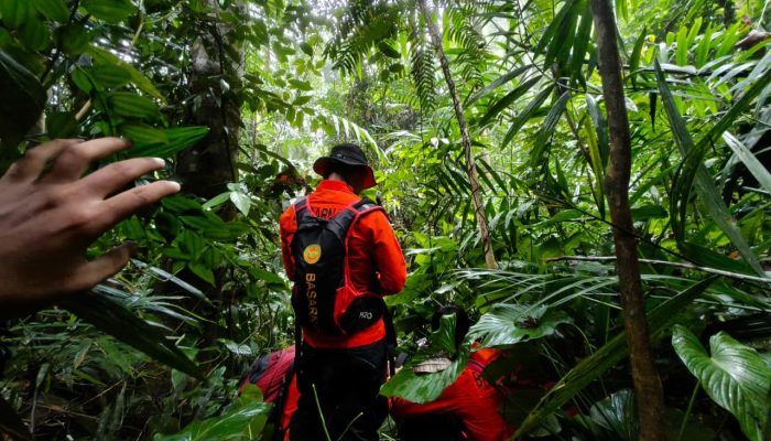 Dua Mahasiswa Geologi Ditemukan Selamat di Hutan Sambasule Konawe
