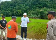 Normalisasi Saluran Irigasi Jadi Prioritas Usai Banjir di Persawahan Baubau