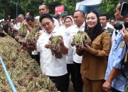 Komisi IV DPR RI dan Bulog Kunjungi Sentra Bawang Merah Brebes, Dorong Peluang Ekspor