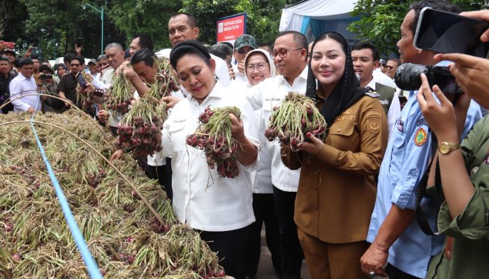 Komisi IV DPR RI dan Bulog Kunjungi Sentra Bawang Merah Brebes, Dorong Peluang Ekspor
