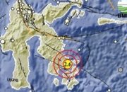 Gempa Tektonik Magnitudo 2,6 Guncang Kendari, Kedalaman Dangkal 6 KM