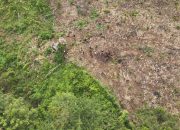 Tim SAR Gabungan Perluas Pencarian Lansia yang Hilang di Kebun Busowa Buton Selatan