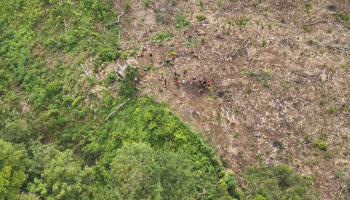 Tim SAR Gabungan Perluas Pencarian Lansia yang Hilang di Kebun Busowa Buton Selatan