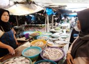 Harga Ikan dan Cumi di Pasar Tradisional di Kota Tegal Meroket