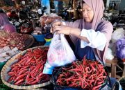 Jelang Idul Adha, Harga Cabai dan Sayur-Mayur di Tegal Kian Melejit