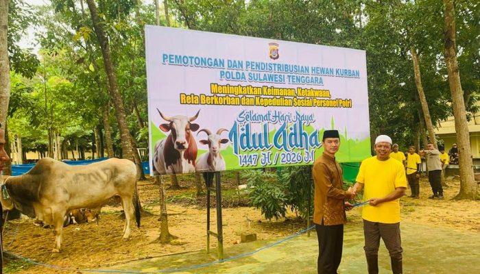 Polda Sultra Salurkan Ribuan Kupon Daging, Kurban 362 Ekor Sapi dan 11 Ekor Kambing