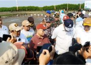 Darurat Ekologis, Menteri LH Ungkap 700 Ribu Hektare Mangrove di Indonesia Rusak