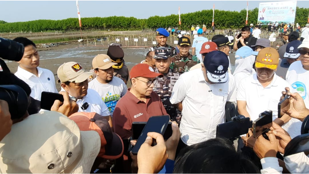 Darurat Ekologis, Menteri LH Ungkap 700 Ribu Hektare Mangrove di Indonesia Rusak