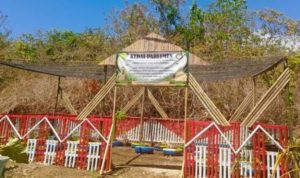 Langkah Kecil DPRD Ubah Lahan Gersang Jadi Kebun Produktif