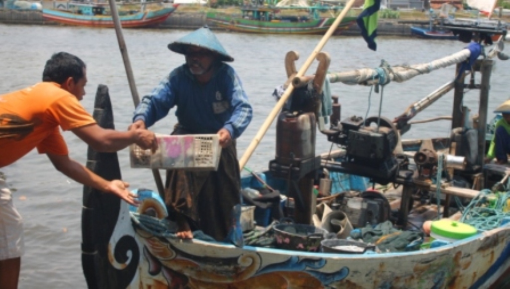 Cuaca Buruk, Hasil Tangkapan Ikan Menurun