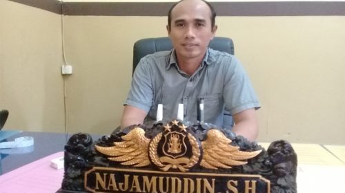 Cabuli Tiga Anak Dibawah Umur, Seorang Pemuda di Buton Dibekuk Polisi