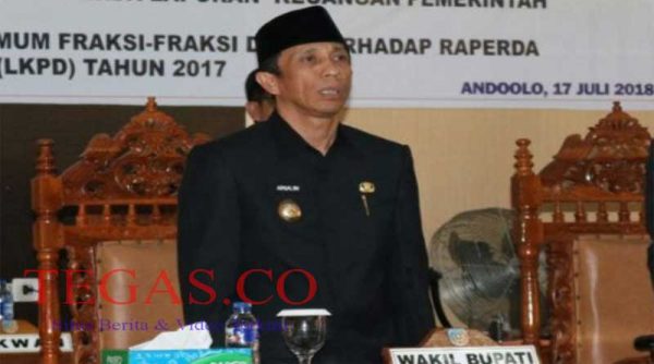 Wakil Bupati Prihatin Minimnya yang Lulus CPNSD Asal Konsel