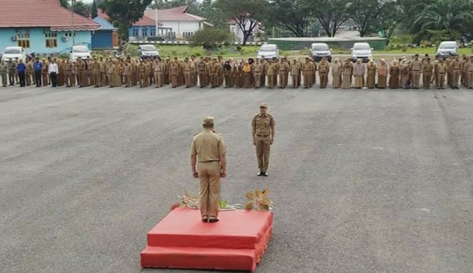 CPNSD yang Lolos Wajib KTP dan KK Domisili Konut