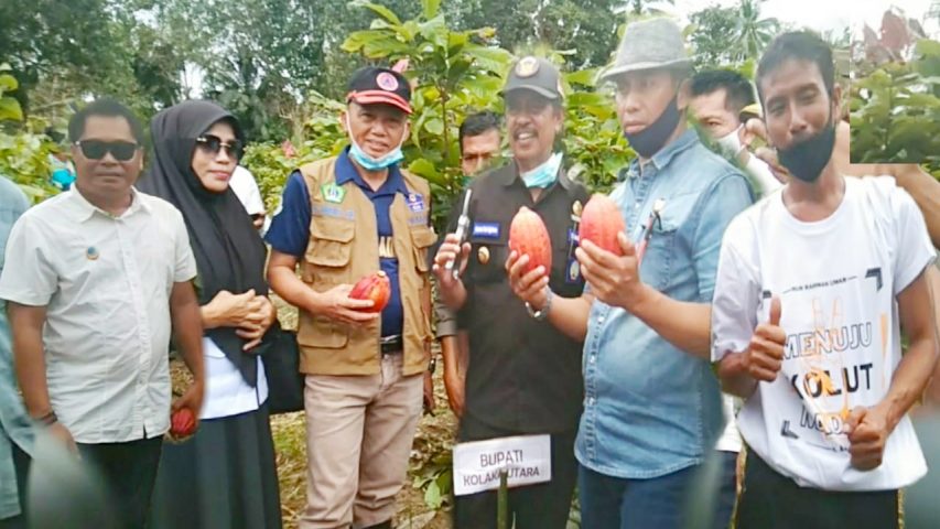 Panen Kakao di Pakue Tengah Berhasil, Bupati Kolut Jejaki Pasar di Prancis