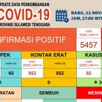 Sebaran 30 Kasus Corona, 11 November di Sultra