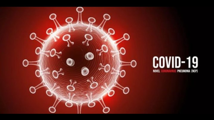 Update Covid-19 Sultra pertanggal 29 November 2020 : Positif 65, Sembuh 2, Meninggal 3
