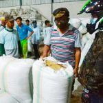 Harga Gabah Turun, Wabup Konawe Cek Langsung ke Petani