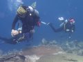 Proses pencarian korban dibawa permukaan air laut