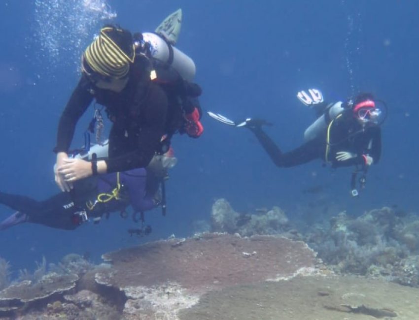 Proses pencarian korban dibawa permukaan air laut