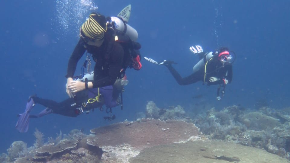Proses pencarian korban dibawa permukaan air laut