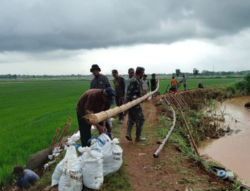 Antisipasi Bahaya Banjir dan Longsor Babinsa Bersama Warga Kompak Perbaiki Tanggul  