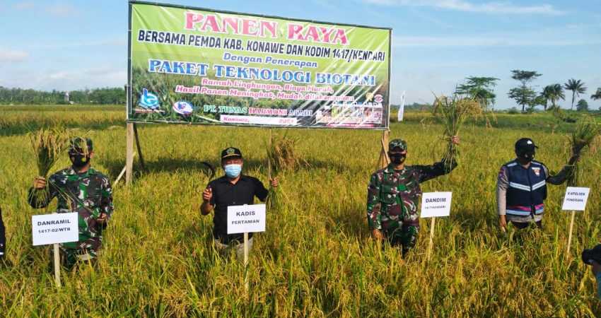 Hasil Panen Biotani Binaan Kodim 1417 Kendari Meningkat
