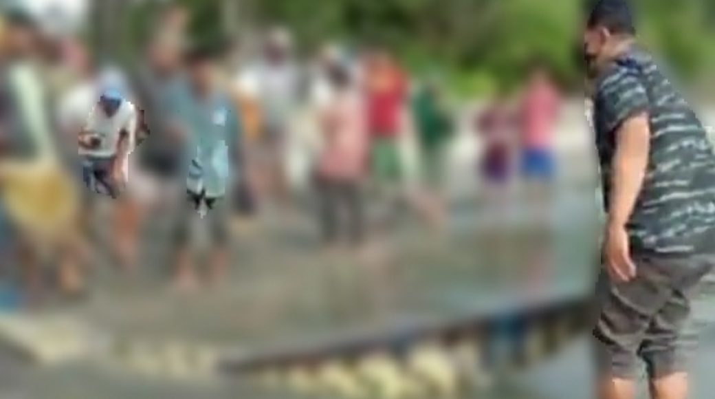Heboh, Warga Kolaka Tangkap Buaya 5 Meter