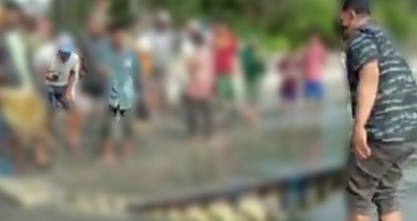 Heboh, Warga Kolaka Tangkap Buaya 5 Meter