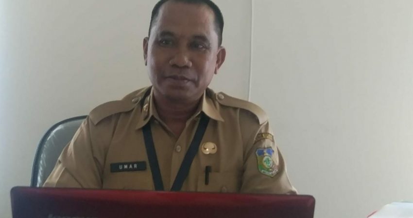Soal Penghapusan Tenaga Honorer, Begini Tanggapan Kepala BKPSDM Konkep