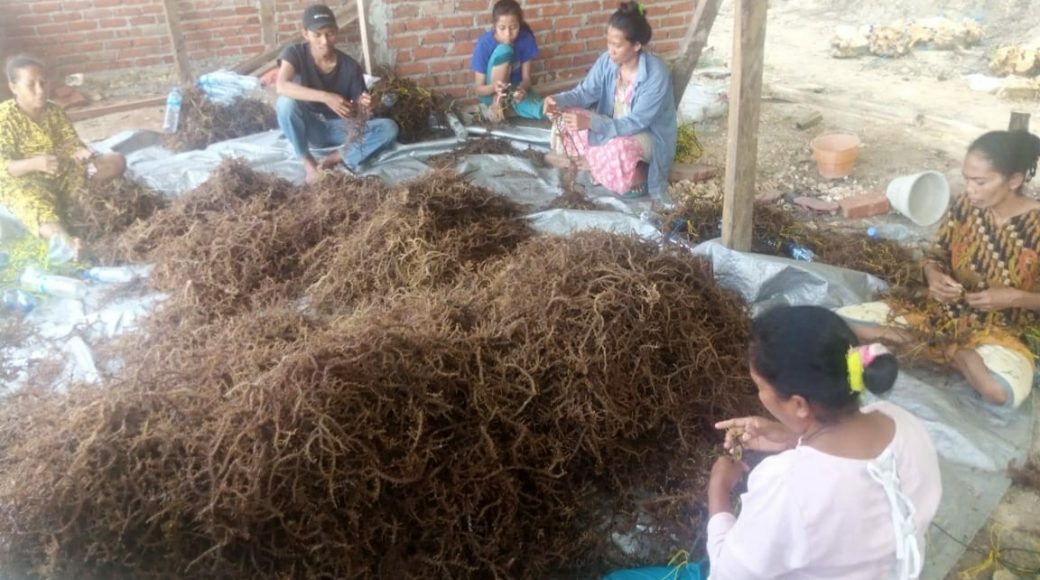 PAAP Site Pasi Kolaga Hadirkan Kesetaraan Gender pada Masyarakat Pesisir di Muna