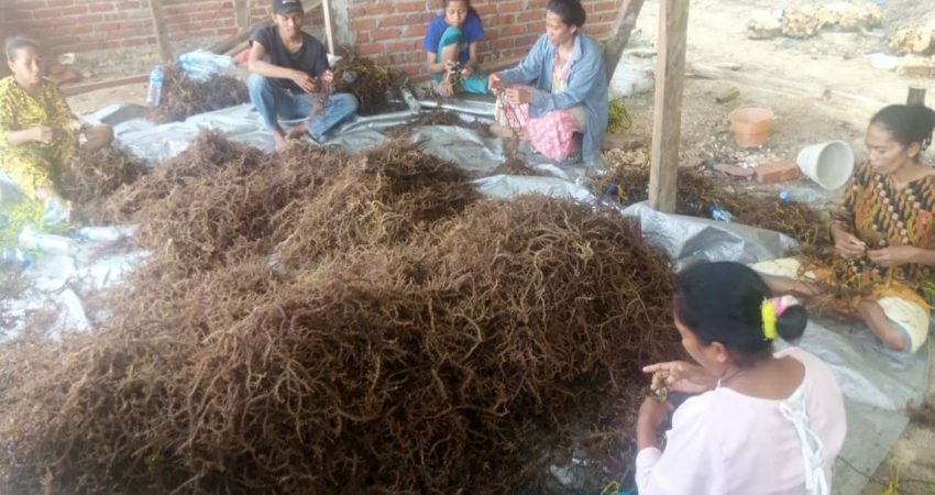 PAAP Site Pasi Kolaga Hadirkan Kesetaraan Gender pada Masyarakat Pesisir di Muna