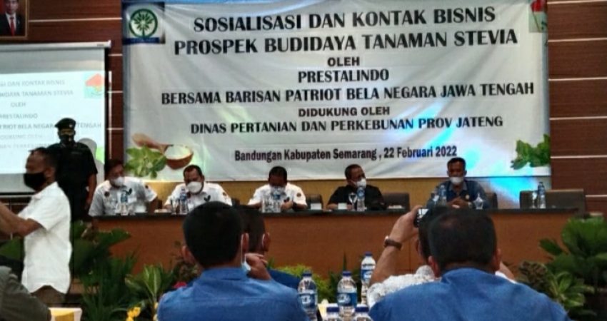 PWO Kendal Hadiri Sosialisasi dan Kontak Bisnis Prospek Budidaya Tanaman Stevia