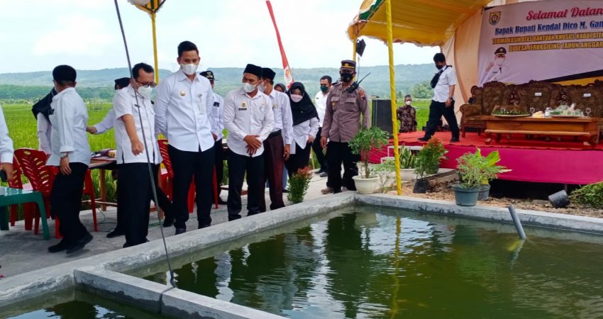 Pemda Kendal Berikan BKK untuk Pemdes Jeruk Giling