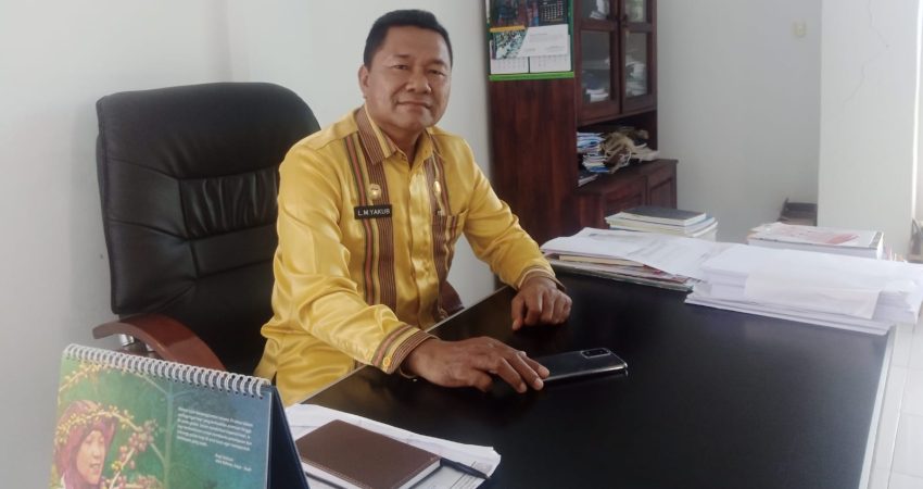 Tingkatkan Populasi Sapi di Muna, Sistem Perkawinan IB Terus Digenjot