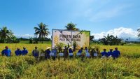 SRI Organik PT Vale, Harapan Baru Pertanian Produktif dan Ramah Lingkungan di Pomalaa