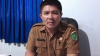 Pemda Konawe Mulai Kembangkan Peternak Burung Puyuh